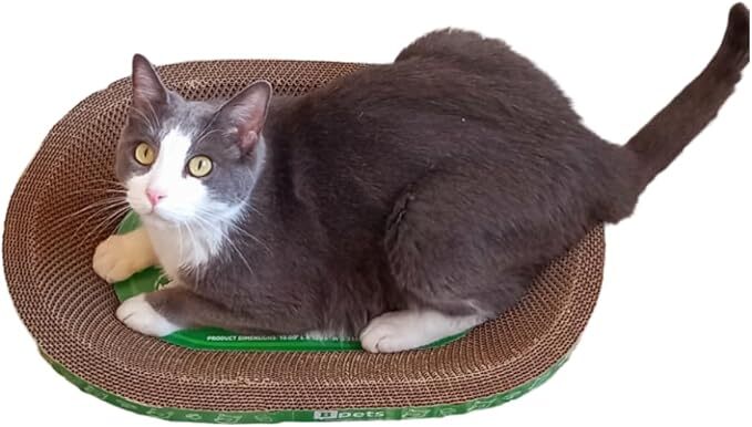 B Scratcher - Kitty Funny Oval Scratcher