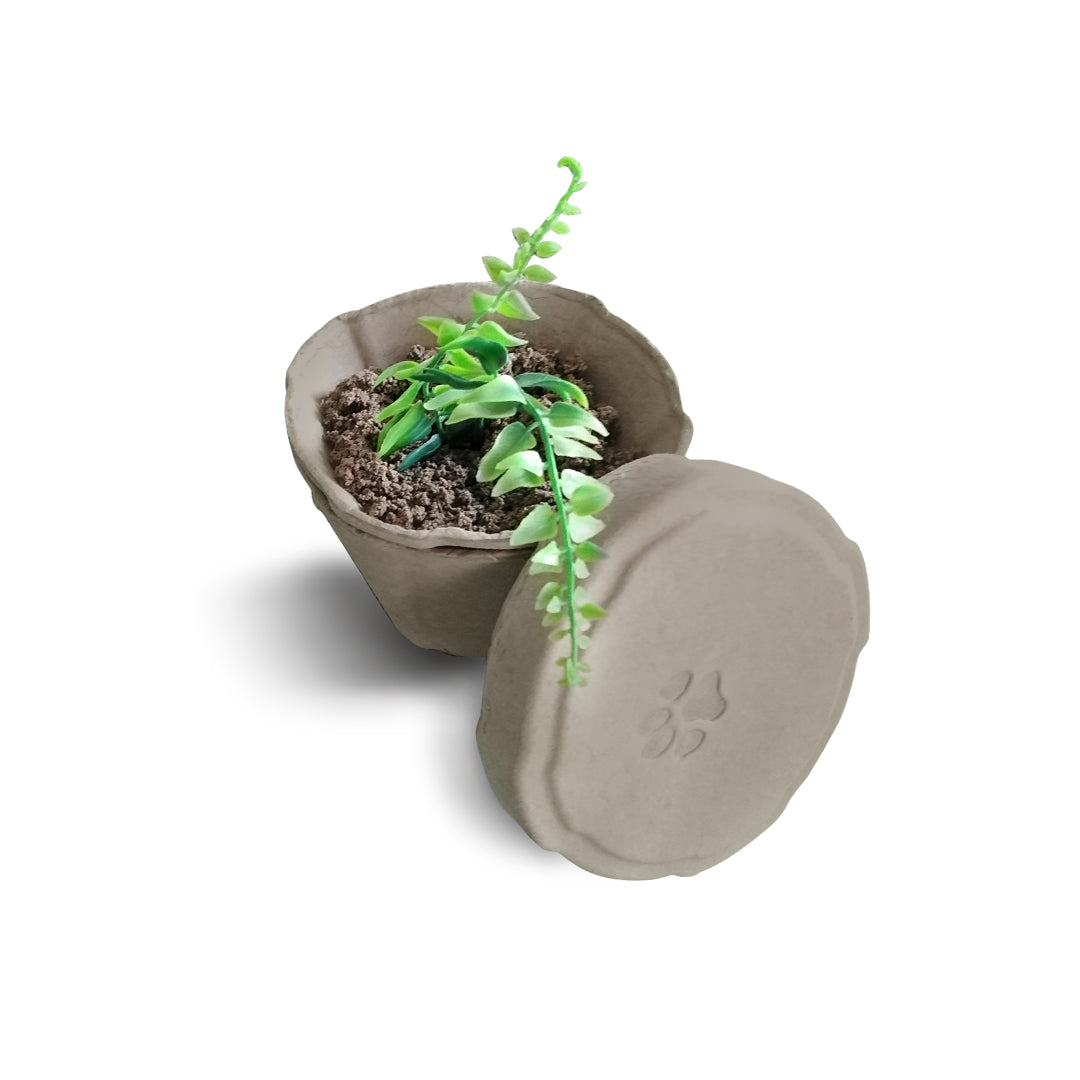 B Remembered - Plantable Pet Urn