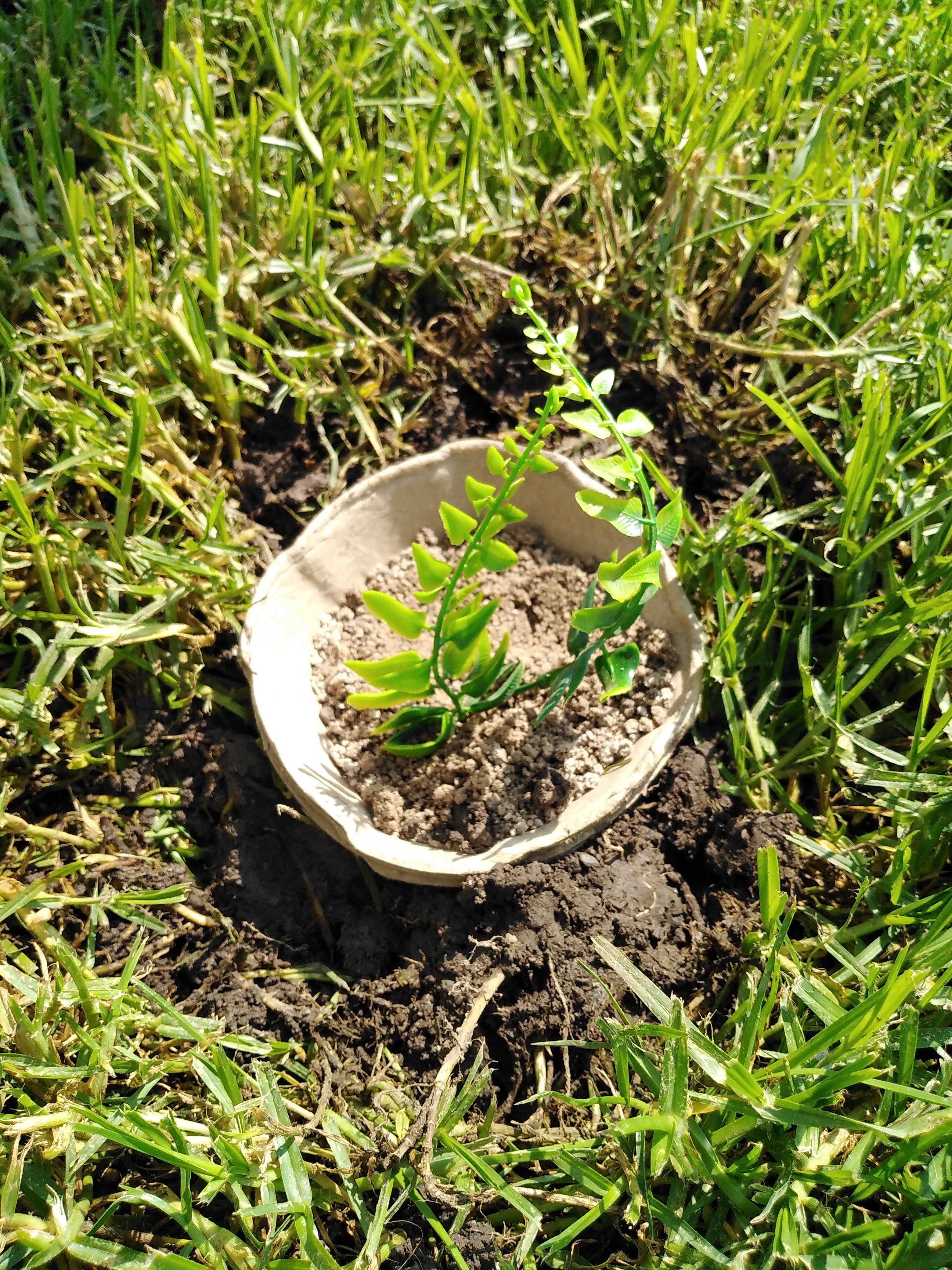 B Remembered - Plantable Pet Urn - BOX