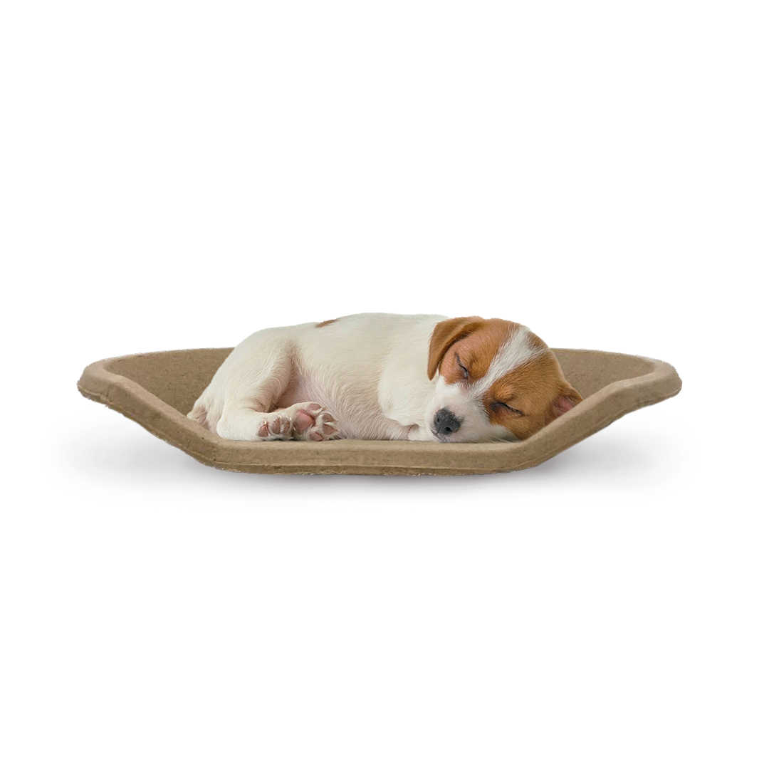 B Snug - Pet Bed