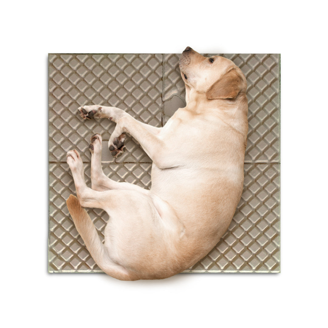 PetPro B-Tidy: 4-Piece Expandable Pet Play Mat Set for Dogs and Puppies (Set 4 pieces)