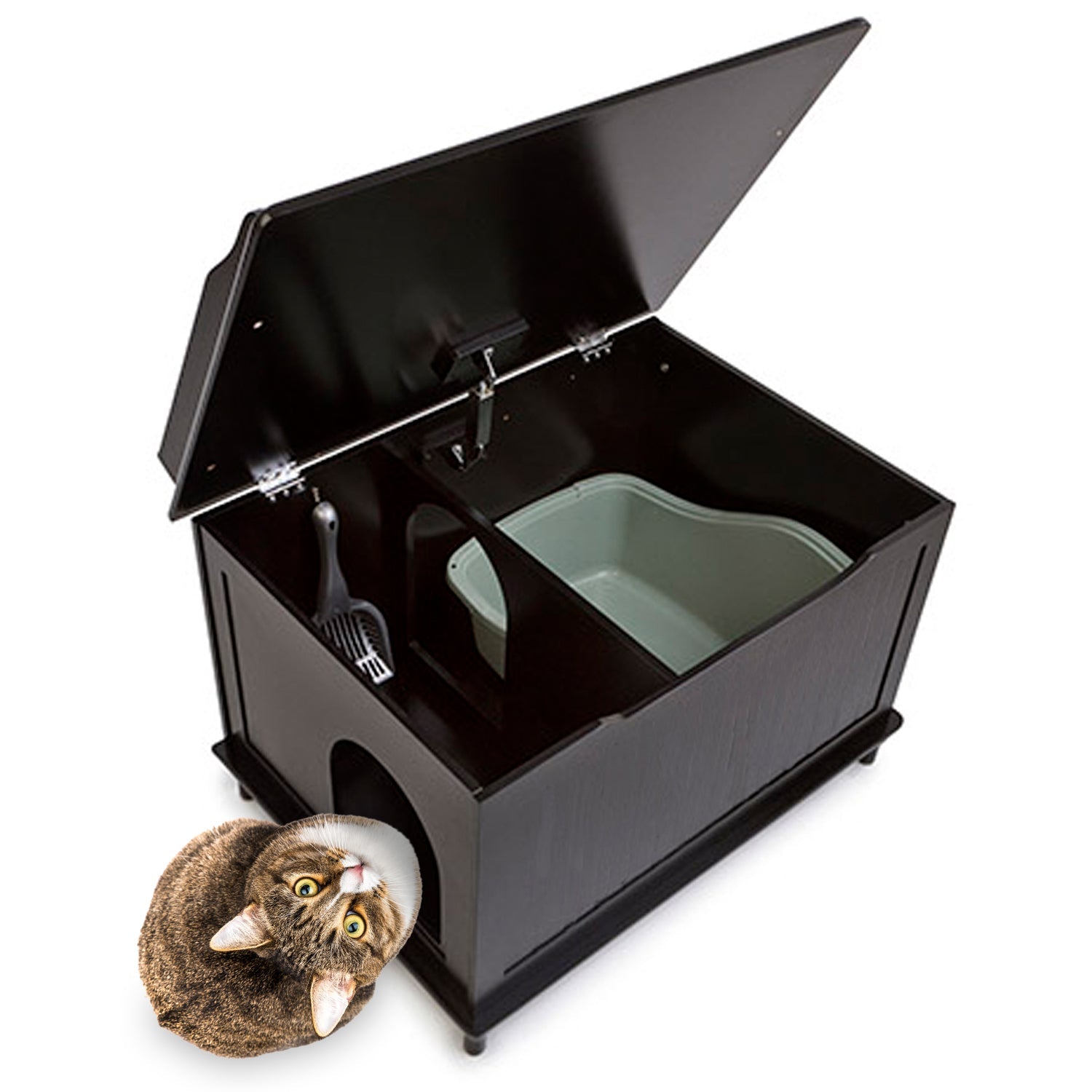 Designer Pet Products The Designer Catbox Litter Box Enclosure in Black