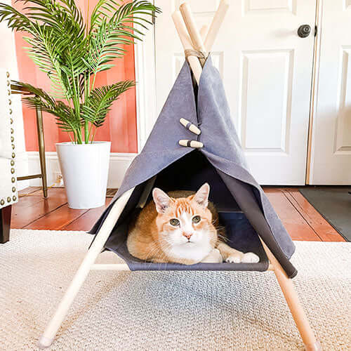 Designer Pet Products Charlie Cat Teepee Bed