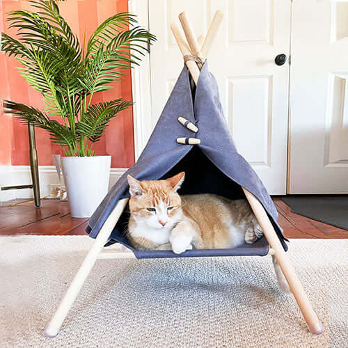 Designer Pet Products Charlie Cat Teepee Bed