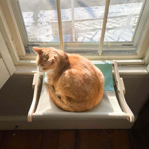 Designer Pet Products Marley Cat Window Perch
